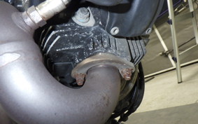 DUCATI SCRAMBLER ICON 2021