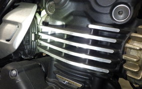 TRIUMPH SPEED400 2024