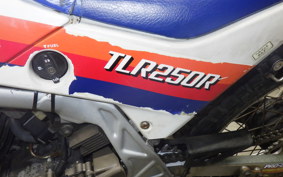HONDA TLR250R 2007 MD18