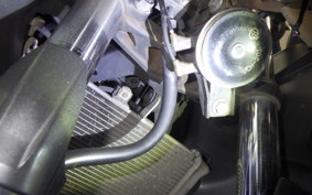 YAMAHA YZF-R25 RG10J