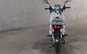 HONDA SUPER CUB110 JA10
