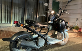 HONDA ZUMAR AF58