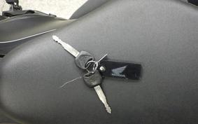 HONDA REBEL 250 2022 MC49