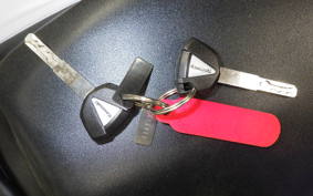 KAWASAKI ZX-4R SE 2024 ZX400P