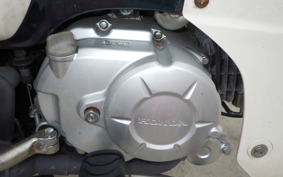 HONDA C110 SUPER CUB JA44