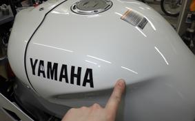 YAMAHA XSR900 GP 2025 RN96J