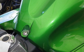 KAWASAKI ZX 1400 NINJA R A 2019