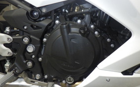 KAWASAKI NINJA 250 2021 EX250Y