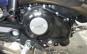 DUCATI SCRAMBLER 2024