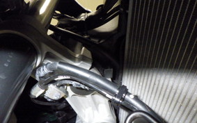 KAWASAKI NINJA 1000 SX 2023 ZXT02K