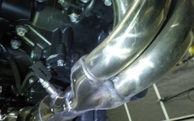 KAWASAKI Z900RS 2024 ZR900K