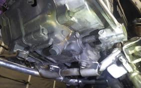 HONDA GORILLA 2024 Z50J