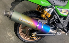 KAWASAKI ZRX1200 DAEG OHLINS 2016 ZRT20D