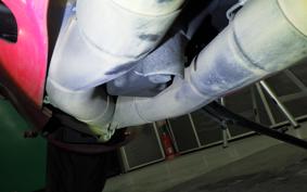 SUZUKI HAYABUSA Gen.2 2016