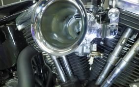 OTHER UNREGISTERED MODEL by BDS1330 2025