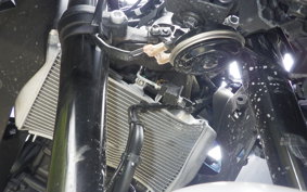 YAMAHA YZF-R25 A RG95J