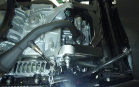 YAMAHA CYGNUSｸﾞﾘﾌｧｽ SEJ4J