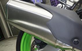 KAWASAKI ZX-4RR 2024 ZX400P