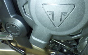 TRIUMPH TRIDENT 660 2025