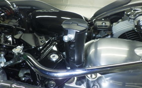 KAWASAKI W800 2025