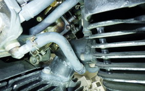 YAMAHA VIRAGO 250 2025 3DM