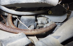 SUZUKI ADDRESS V100 CE13A