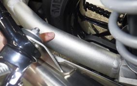 TRIUMPH SPEED TWIN 2024