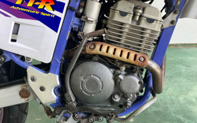 YAMAHA XSR900 2024 RN80J