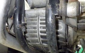 YAMAHA VIRAGO 250 2004 3DM