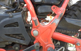 HONDA TLM50 AD07