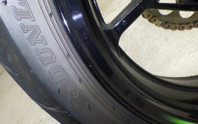 KAWASAKI ZX-4RR 2024 ZX400P