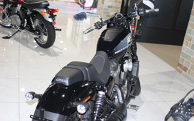 HARLEY  HARLEY RH975 NIGHT  STAR  2023 ZH1