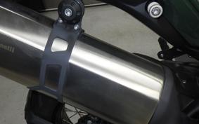 BENELLI TRX502X 2025