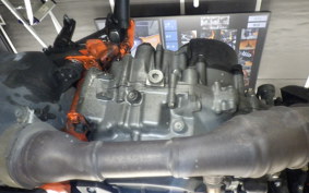 KTM 390 DUKE 2024