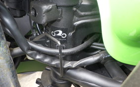 KAWASAKI NINJA 250 EX250L