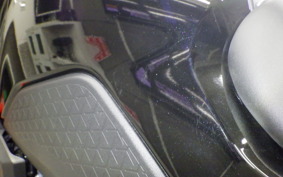 SUZUKI Vｽﾄﾛｰﾑ250SX 2013 EL11L