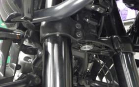 HARLEY ﾊﾟﾝ AMERICA1250 2021