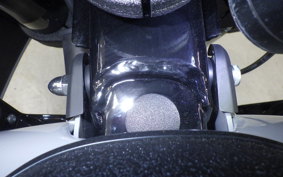 HARLEY FXLRST1920 2025