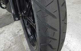 SUZUKI Vｽﾄﾛｰﾑ250A 2019
