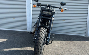 HARLEY FXFBS 2025 YLK