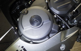 KAWASAKI NINJA 250 2 2021 EX250Y