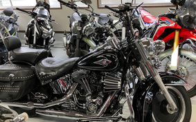 HARLEY FLSTC 2008 BW5