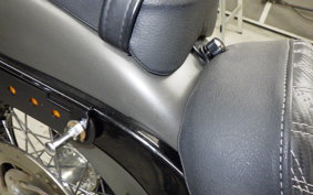 HARLEY FXBB1750 2019