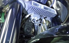 HARLEY FXLRST1920 2022