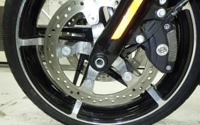 HARLEY FLTRX1920 2024