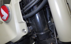 HONDA CT125 HUNTER CUB 2021 JA55