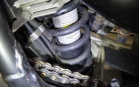 KAWASAKI SUPER SHERPA KL250G