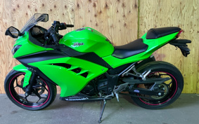 KAWASAKI NINJA 250 EX250L