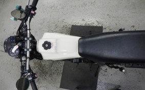 YAMAHA TW225 DG09J