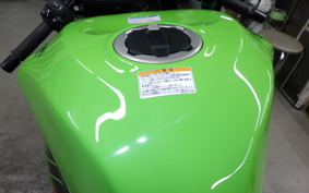 KAWASAKI NINJA ZX-6R A 2022 ZX636G